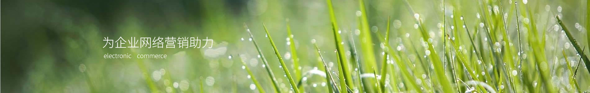 ӱܵ޹˾